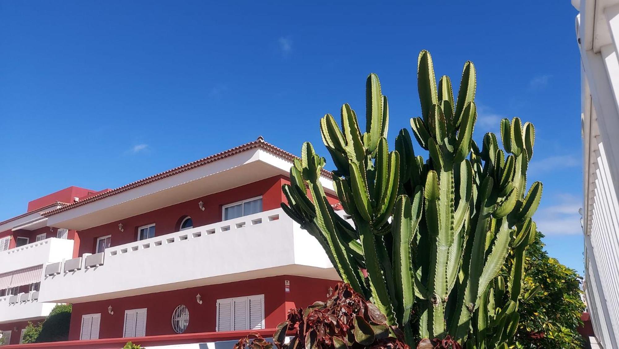 Rdg Home Puertito de Guimar Exteriér fotografie